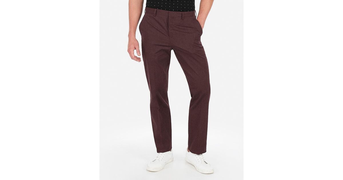 express mens pants