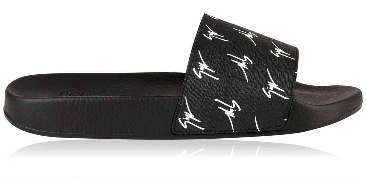 zanotti slides