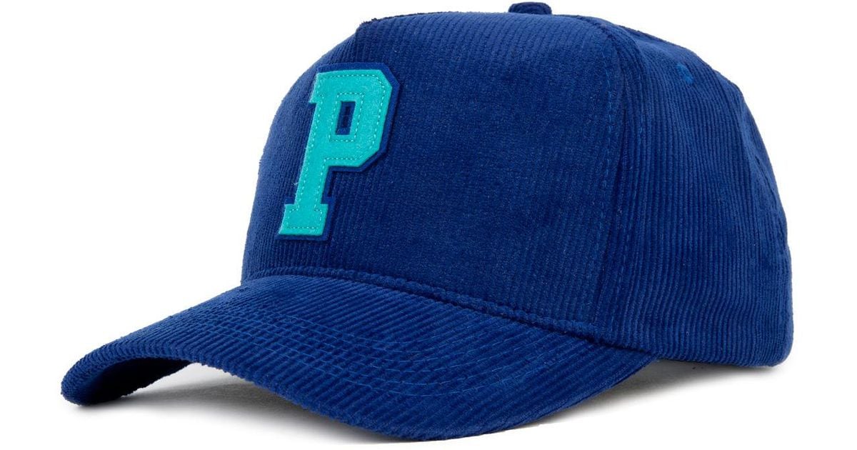 pink dolphin p hat