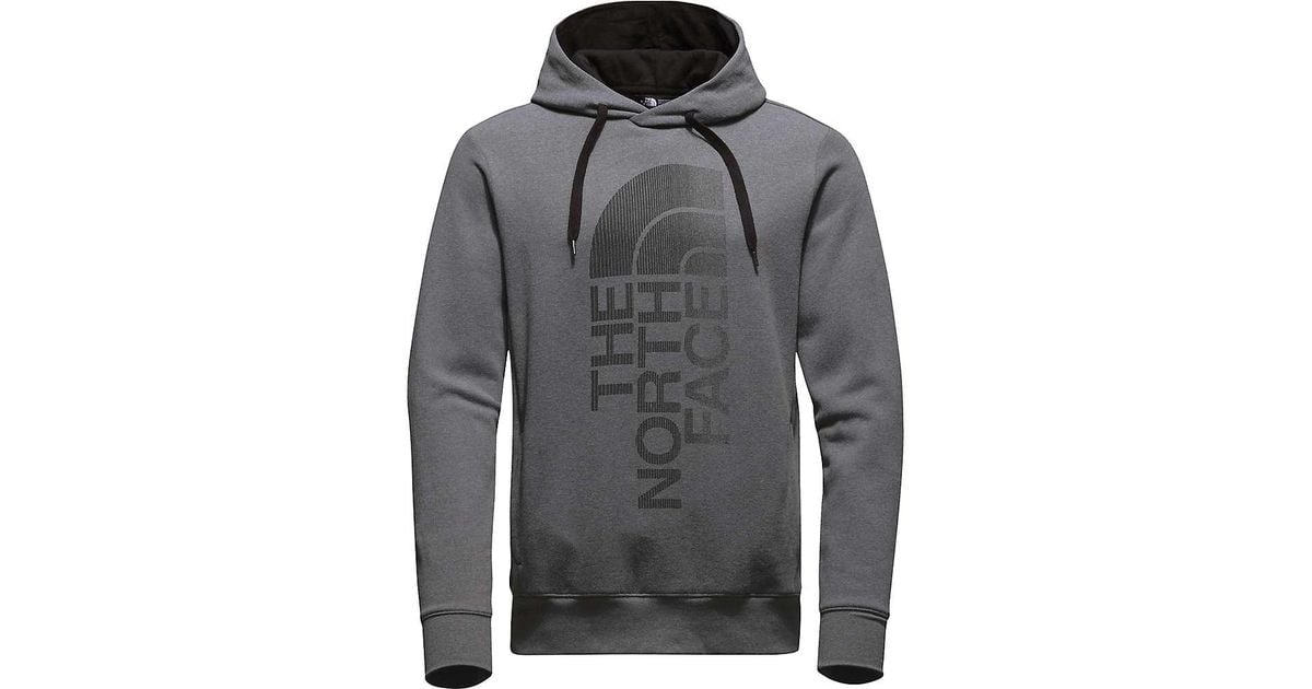 the north face men's bearscape hoodie