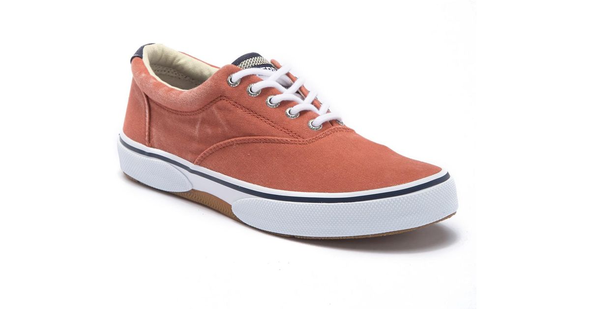 men's halyard cvo laceless saturated sneaker