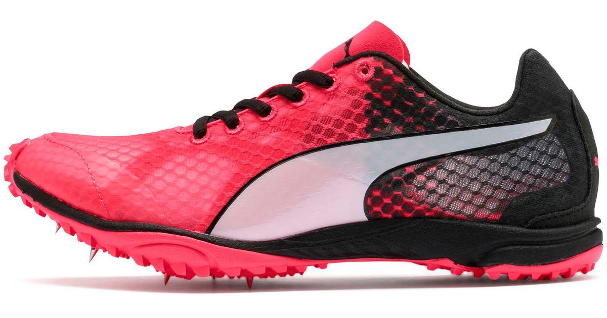puma evospeed haraka 4