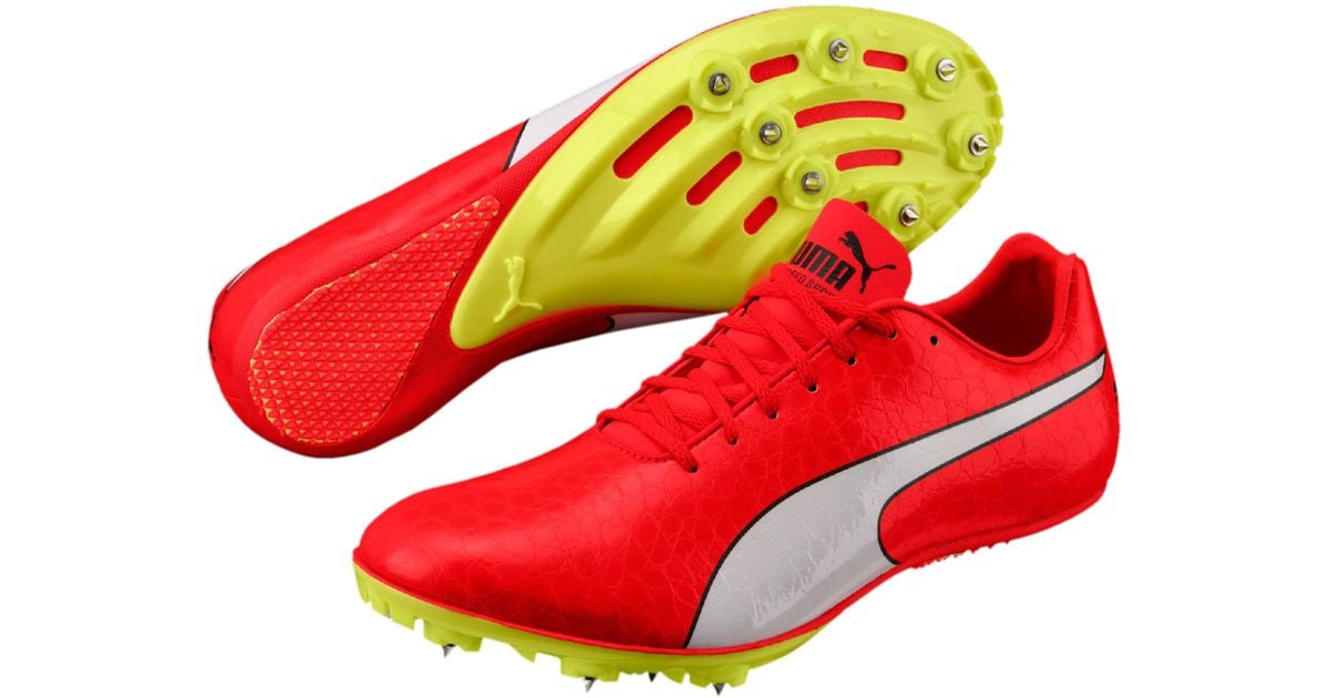 puma evospeed sprint puma evospeed sprint