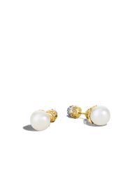 John Hardy | White Dot Earrings | Lyst