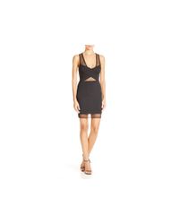 Lucy Paris | Black Mesh-paneled Body-con Dress | Lyst