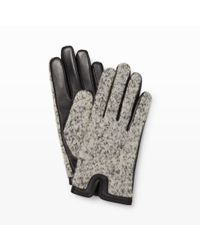 Club Monaco | Gray Jannet Glove | Lyst