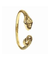 Jenny Bird | Metallic Kundali King Serpent Bangle | Lyst