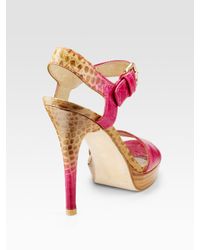 Stuart Weitzman | Pink Strutting Croc-embossed Leather Sandals | Lyst