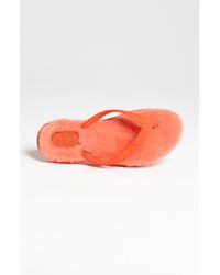 fitflop flare koi