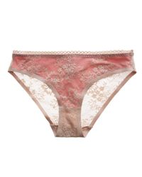 Stella McCartney | Pink Stella Mccartney Stella Lace Bikini | Lyst