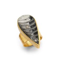 Kevia | Gray Bezel Set Fossil Ring | Lyst
