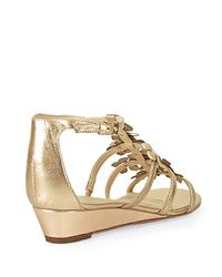 kate spade vikki pumps