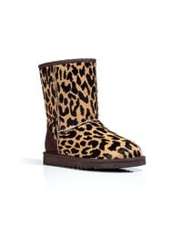 ugg short exotic ugg short exotic