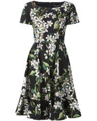 Dolce & Gabbana | Multicolor Floral Print Dress | Lyst