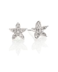 Kwiat | Sunburst Diamond & 18k White Gold Flower Stud Earrings | Lyst