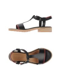 Anaid Kupuri Black Sandals