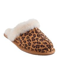 UGG - Multicolor Scuffette Ii Slipper Leopard - Lyst