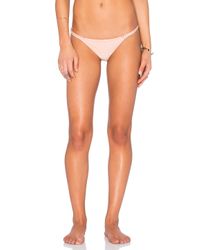 Sinesia Karol Pink Cla Bikini Bottom