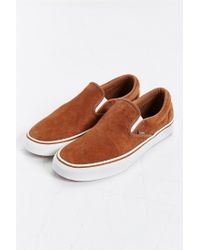 tan vans suede