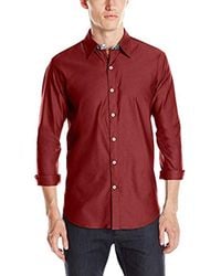 robert graham button down shirt