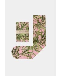 Strathcona - Green Nylon Marijuana Stocking - Pink for Men - Lyst