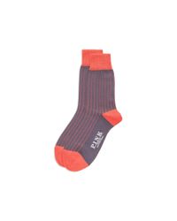 Thomas Pink | Gray Tenby Socks for Men | Lyst