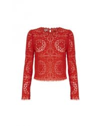 Temperley London | Red Nomi Lace Crop Top | Lyst