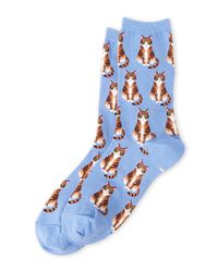 Hot Sox Blue Sitting Tabby Cat Socks for men