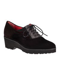 Pas De Rouge - D331 Oxford Black Multi Suede - Lyst