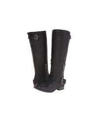 Carlos By Carlos Santana | Black Hamilton | Lyst