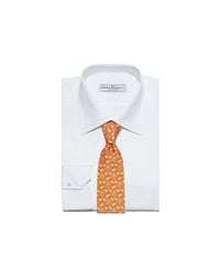 Ferragamo - Orange Elephant And Palm Tree Printed Tie for Men - Lyst