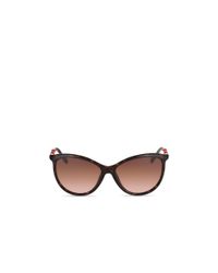Diane von Furstenberg | Brown Reese Cat Eye Sunglasses | Lyst