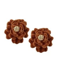 Gogo Philip | Brown Earrings | Lyst