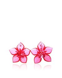 DSquared² | Pink Fluo Flower Earrings | Lyst