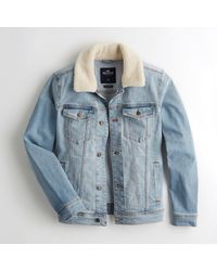 hollister men's denim jacket