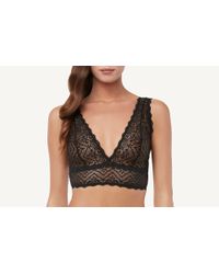 Intimissimi Black Lace Triangle Bralette Effect Bra