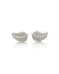 Patience Jewellery - Multicolor Fern Stud Earrings - Lyst