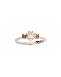 freeRange JEWELS - Multicolor The Gentle Classic Ring - Lyst