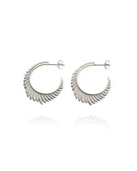 Patience Jewellery - Multicolor Fern Large Hoops - Lyst