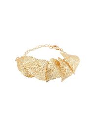 Amazona Secrets - Multicolor Savannah's Leaf Bracelet - 5 Leaves - Lyst
