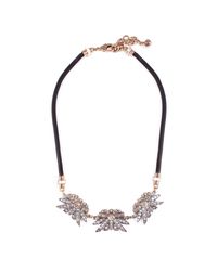 Lulu Frost - Metallic Larkspur & Black Snake Chain Necklace - Lyst