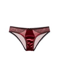 Blush Lingerie | Multicolor Dark Romance Bikini | Lyst