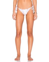 Sinesia Karol Pink Thais Bikini Bottom