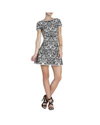 BCBGMAXAZRIA - Black Bcbg Maxazria Jenn Bambi Puckered Jacquard A-line Dress - Lyst