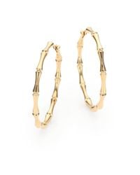 Gucci | Metallic Bamboo 18k Yellow Gold Hoop Earrings/1.5 | Lyst