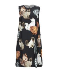Dolce & Gabbana Black Kurzes Kleid
