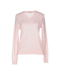 Stell Bayrem Pink Jumper