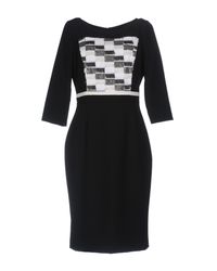 Camilla Milano Black Knee-length Dress