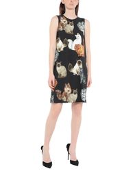 Dolce & Gabbana Black Kurzes Kleid