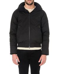 canada goose branta canada goose branta